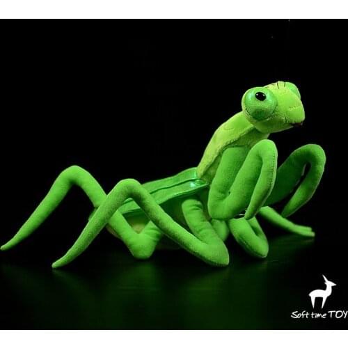 Super lovely insect plush dolls model toy Real life Paratenodera sinensis Saussure doll children brain game holiday gifts toys