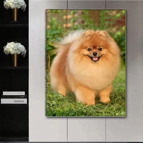 Pomeranian dog Full Square round Diamond painting mosaic crystal painting diy diamond embroidery animal fat pet rhinestone art