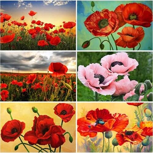 5D Diamond Painting Poppy Scenery Mosaic Landscape Full Round Square Diamond Embroidery Flower Cross Rhinestone Christmas Gift