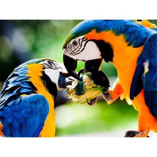 Parrot Bird Animal DIY Embroidery 11CT Cross Stitch Kits Needlework Craft Set Cotton Thread Printed Canvas Home Room
