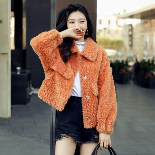Winter High Quality Lapel Wool Loose Coat for Women Office Lady Thick Warm Fashion New Fur Jacket Short Fashion Trend Outwear