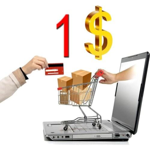 Additional fee surcharge (additional fee is $10, please enter 10. Payment amount is $10)