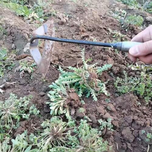 Steel Weeding Shovel Farm Tool Planting Vegetable Weeding Dual-Purpose Handheld Special Hollow Hoe Agriculture Rake Hoe Tool