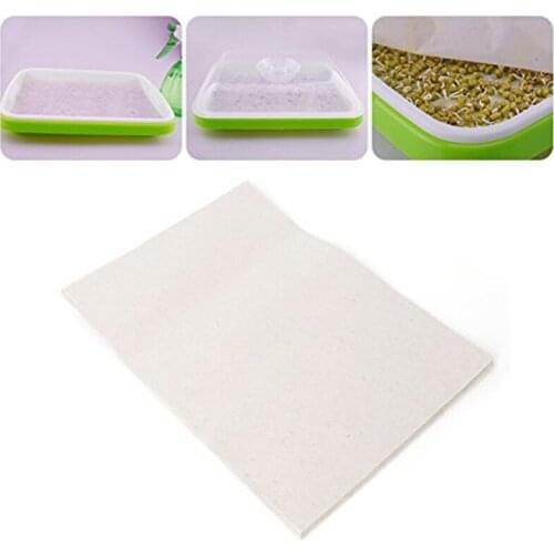 Jusenda Cabbage Seeds China