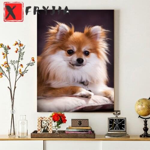 Emeroidery diamond rhinestone painting Chihuahua cross stitch diamond mosaic sale new arrival full round square display picture