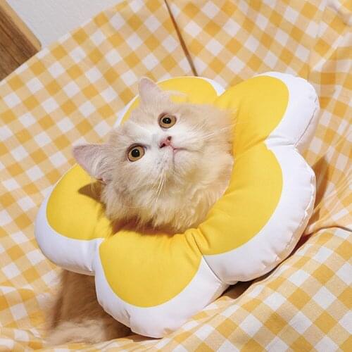 Pet Elizabeth Circle Cute Flower Shape Cat Dog Collar Anti-bite Anti-scratch Anti-licking Waterproof Cat Wound Healing Collars