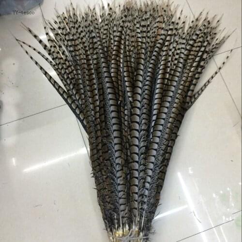Wholesale 50pcs high quality natural Lady Amherst Pheasant Feathers 10-120cm/4-48inch Wedding Accessories Stage performance diy