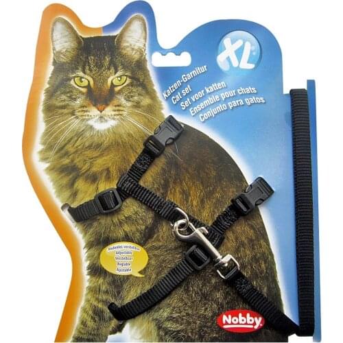 Nobby Collars For Cats
