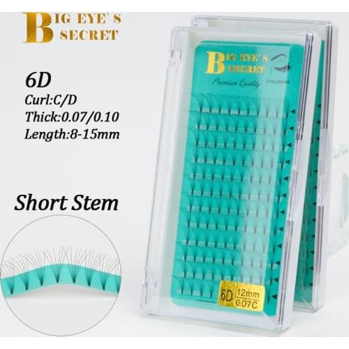 Big eyes secret 6D Russian Volume Premade Fans Individual Clouds Eyelashe Extensions 8-15mm False Mink Eye Lashes