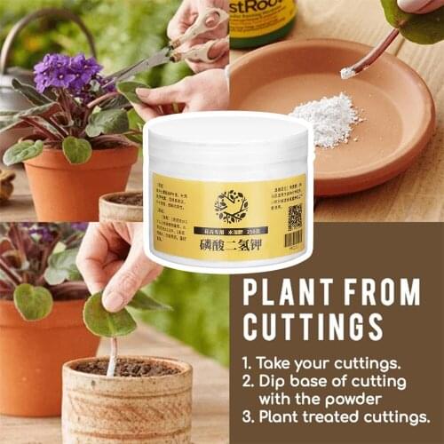 Rooting Powder Transplanting Plant Rapid Growth Root Rapid Growth Root Medicinal Hormone Regulators For Garden Bonsai Tool