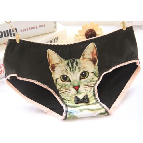 Womens 3D Cat Pattern Briefs female thread cotton hips sweet beauty briefs comfortable antibacterial ladies underwer
