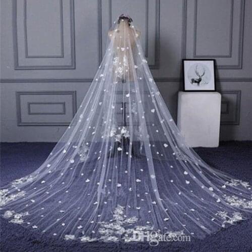 Elegant Wedding Veils 3m Long Cathedral Length Full Lace Edge Appliqued 1T White Ivory Tulle Bridal Veils with Combs Customized