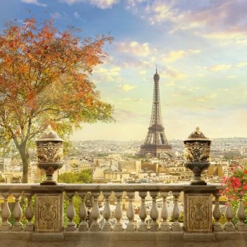 Laeacco Old Town Effier Tower Paris Rooftop Railing Tree Sky Scenic Photo Backgrounds Photography Backdrops For Photo Studio