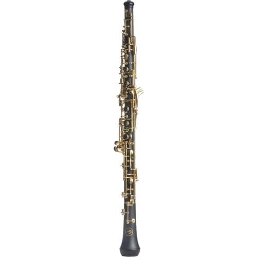 Premium Student Bb Clarinet for Student Beginner, Nickel-plated Keys with Hard