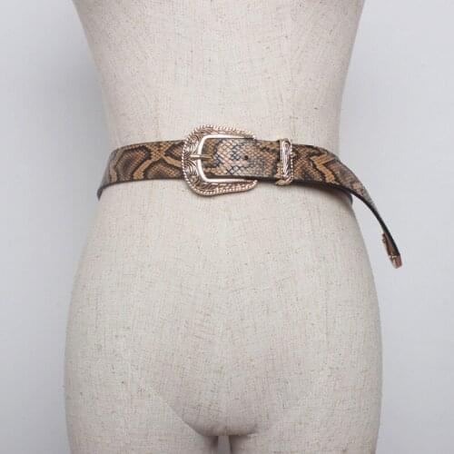 Fashion Snake Pattern Thin Belt New Metal Pin Buckle Belt Ladies Dress Decorative Belts Women Faux Leather Straps Waistban BZ24