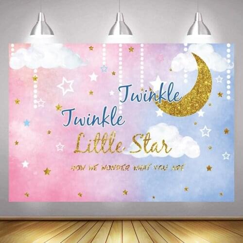 Pink Twinkle Twinkle Little Star Photo Backdrop Cloud Moon Baby Shower Party Decoration Photography Backgrounds Banner