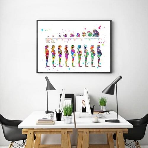 Pregnancy Stages Print Medical Art Fetal Development Poster Fetus Watercolor Art Canvas Painting Obstetrician Office Wall Decor