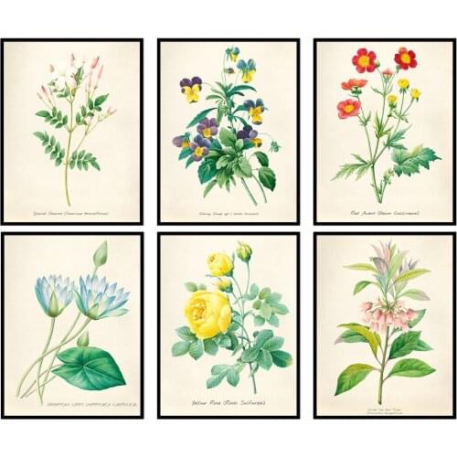 Colorado Wildflower Botanical Discounted Set of 6 Floral Decoration Large Wall Art For Living Room Pictures No Frame HD Painting
