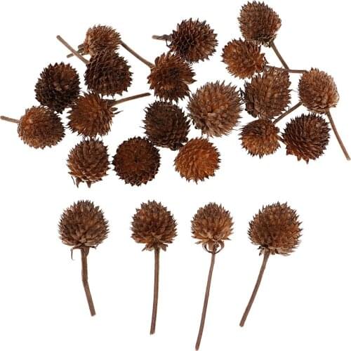 50pcs Natural Dried Flowers Fruits Rusitc Accents Home Table Decor Ornaments DIY Craft