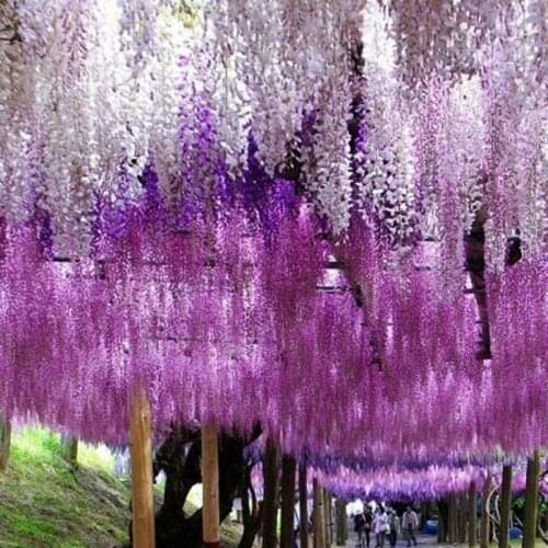 48PCS artificial flower Wisteria long 110cm fake tree fake vine home garden Valentines Day decoration fall decorations for home