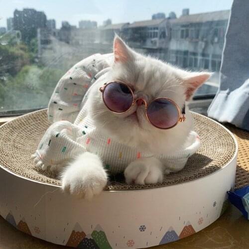 Pet Products Round Cat Sunglasses Reflection Eye glasses For Small Dog Cat pet glasses dog sunglasses