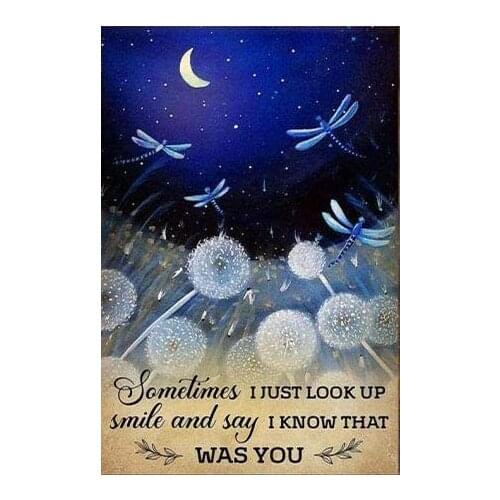 Retro Tin Sign Dragonfly Sometimes I Just Look Up Smile and Say I Know That was You Retro Metal Sign Barn Shop Kitchen Cottage