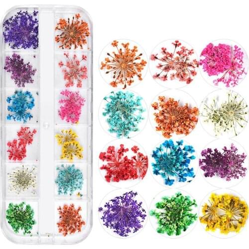 1Box Dried Flowers Dry Plants for Rsein Molds Filling Epoxy Resin Pendant Jewelry Making Craft DIY Nail Art Decoration Accessory