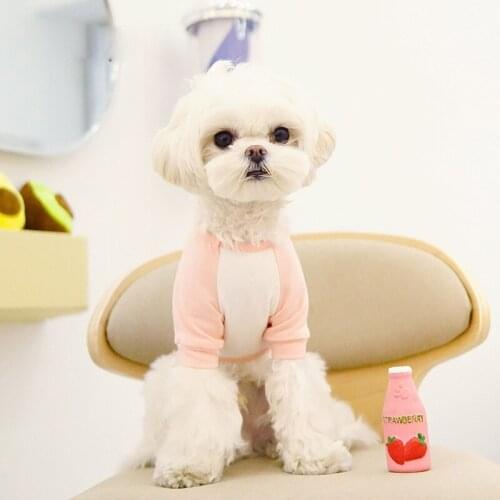 2021 Summer Dog Clothes Fruit Dogs Shirt Cotton Fashion Clothing Sweatshirt for Cats Dogs Cute Clothes Two-legged Shirts for Pet