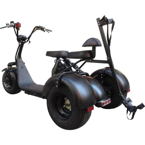 City Escooter 3Wheel Golf Cart EEC COC Approved Electric Cargo Tricycle Citycoco Golf Bag Cart Trike Motorcycle Electric Scooter