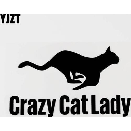 YJZT 15.6CM×9CM Crazy Cat Lady Vinyl Animal Car Sticker Decor Decal Black/Silver 8C-0336