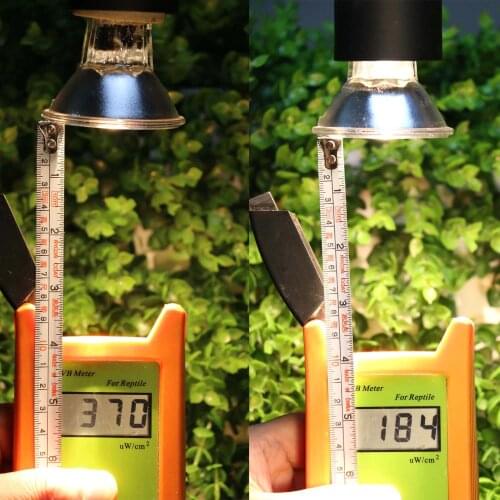 UVA UVB Pet Reptile Heating Daylight Full Spectrum Lamps for Tortoise / Lizard /Fish Durable 220v 50 75 100w with light hold E27