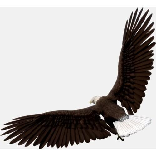 Aliauto High Quality Car Sticker Flying Soaring Eagle PVC Waterproof Reflective Creative Decals Decoration Accessories,15cm*14cm