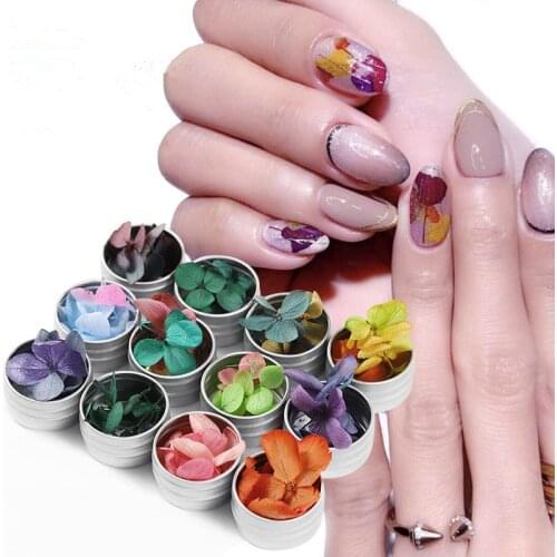 12 Colors Dried Flowers Nail Art Decorations Natural Preserved Floral Decal 3D Real Decorations DIY UV Gel Polish Manicure Tips