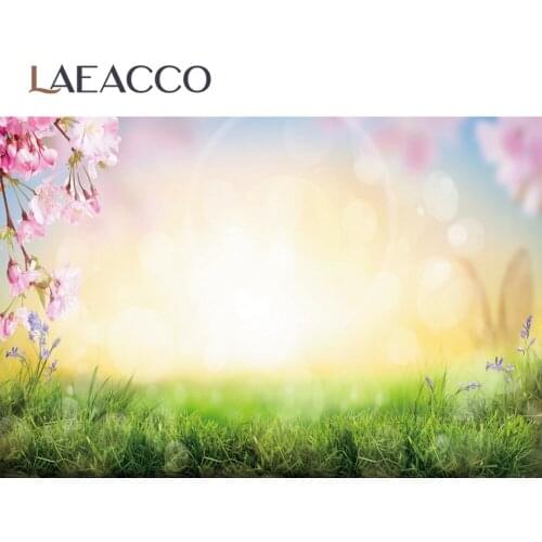 Spring Blossom Petal Flower Green Grass Polka Dots Light Bokeh Sunshine Baby Pet Portrait Photography Background Photo Backdrop