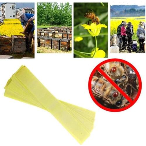 20Pcs/Bag Bee Mite Medicine Strip Simple and fast bee mite killer, bee pest control professional beekeep tool