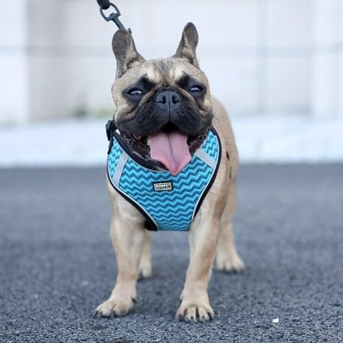 Dog Harness and Leash Set Reflective Dog Harness for Small Large Dogs Accessories Safe Leash Harness for York Chihuahua Corgi