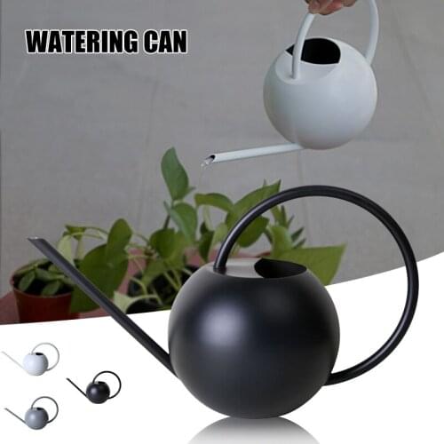 Decoration 1L Long Spout Watering Can Stainless Steel Flower Plants Sprinkling Tools for Watering Bonsai Succulent TN88