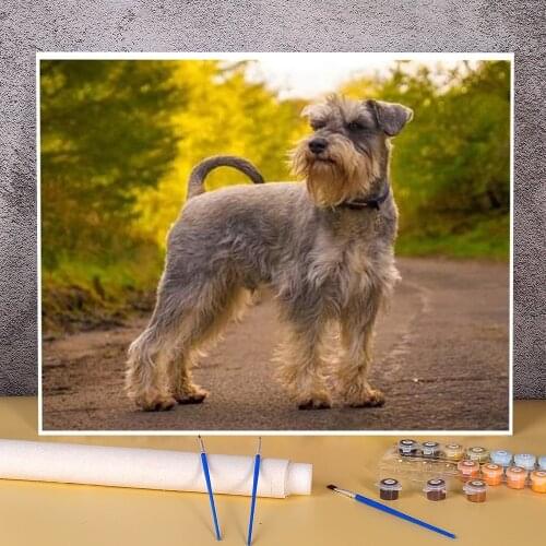 Animal Dog Schnauzer Painting By Numbers Set Acrylic Paints 50*70 Boards By Numbers Handmade For Handicraft