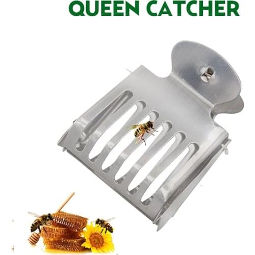 1 Pcs Queen Bee Catcher Clip Stainless Steel Cage Beekeeping Equipment Tool Beekeeper Equip Isolation Room