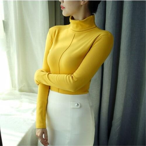 Winter Turtleneck Women Bodycon Basic Pullovers Long Sleeve Pull Femme Coat Female Top Sweater Female Soft Korean Style Skinny