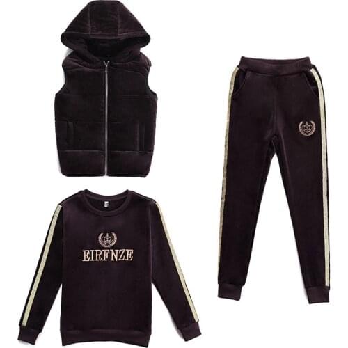 Sporting Suit Women 2020 Winter Thicken Sportswear Gold Velvet Embroidery Hoodies+Pants+Vest 3 Piece Set Women Warm Tracksuits