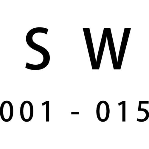 NEW Jewelry Men Women SW Watch Original Fashion Man Watch Original Jewelry Gift CHARM BEAD Free Delivery SW 001 - 015