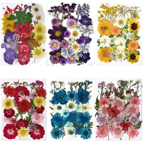 DIY Dried Flowers Real Flowers Decoration Beauty Nail Make-Up Crafts Resin Fillings Home Jewelry Decoration Resin Crafts