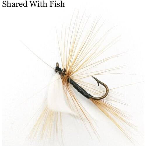 Shared With Fish 5pcs\lot White Brown Quill Dry Fly May fly Nymph for Fly Fishing Trout Size 10# Hook