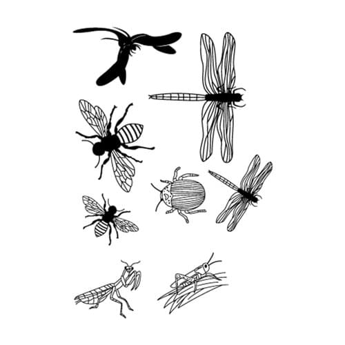 Insect stamp Clear Stamp for Scrapbooking Transparent Silicone Rubber DIY Photo Album Decor k668