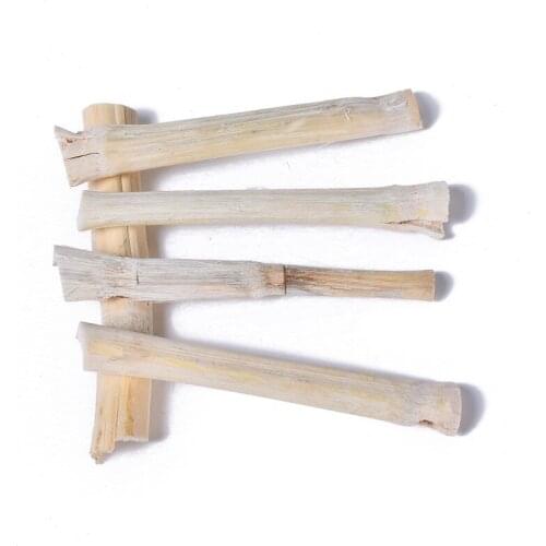 5pcs Hamsters Sweet Bamboo Stick Branch Small Pet Cleaning Teeth Treat Molar Chew Toys For Chinchillas Rat Parrot Snacks Rabbit