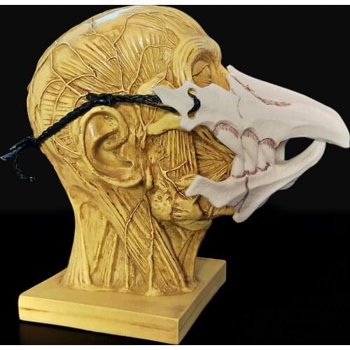 Unisex Halloween Decoration Cosplay Mask Resin Eco-friendly Props Halloween Animal Self defense Natural Half Face Prajna Masks