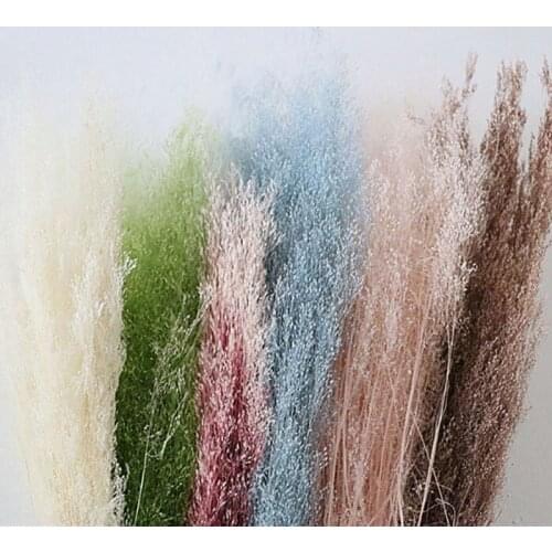 Earth Farm Imported Fountain Grass Preserved Fresh Flower DIY Material Package Bridal Headdress Gift Box