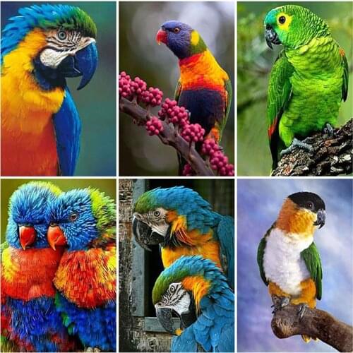 Diy Parrot 5D Diamond Painting Full Square Drill Birds Diamond Embroidery Cross Stitch Handcraft Kit Home Decoration Wall Art
