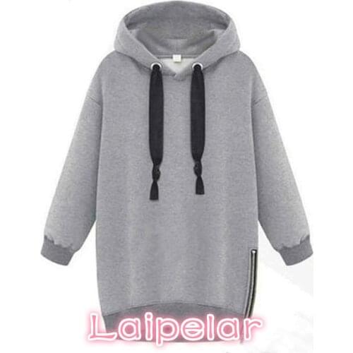 Autumn Winter Women Hoodies Long Sleeve Hooded Loose Casual Warm Sweatshirt Oversized Plus Size Sweatshirts